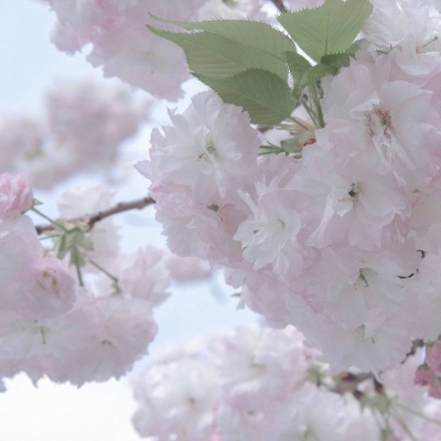 晋宁福瑞交流群